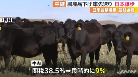 関税大幅引下げ.png